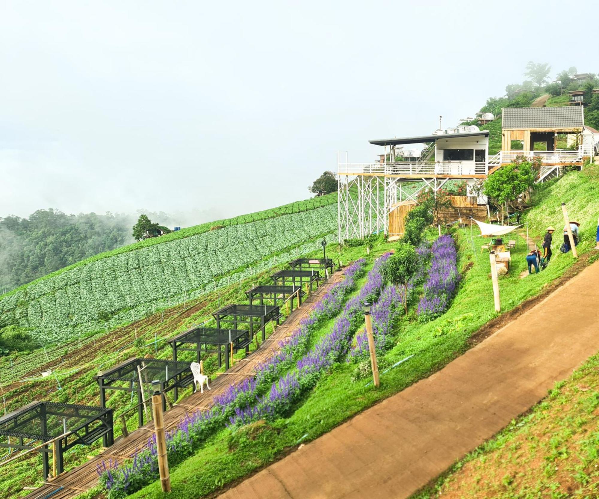 ภูวินคาเฟ่ โฮมสเตย์ Phuwin Cafe Homestay Mon Jam 外观 照片